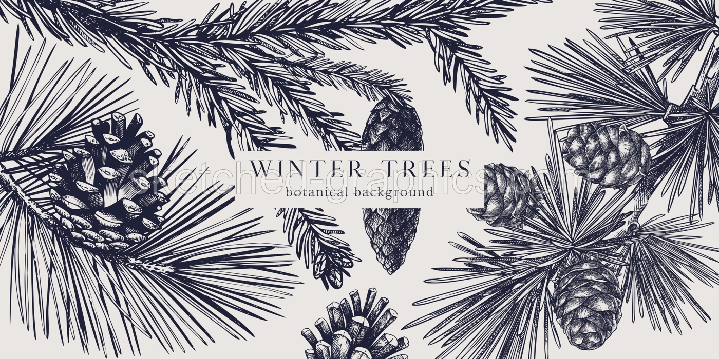 Christmas background. Vector frame with hand drawn conifer plants and cones sketch -  fir, spruce, pine, larch. Vintage design for Christmas decoration. Winter trees botanical illustration Illustration